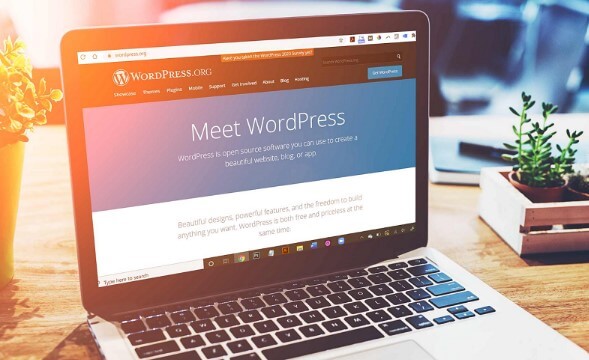 huong dan thiet ke website tu A den Z