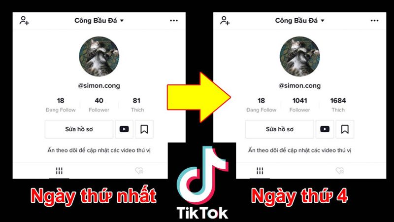 cach tang follow tiktok