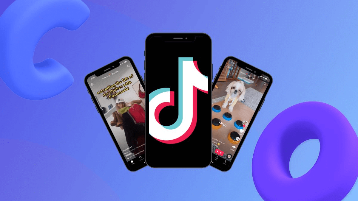 Quản lý kênh TikTok 